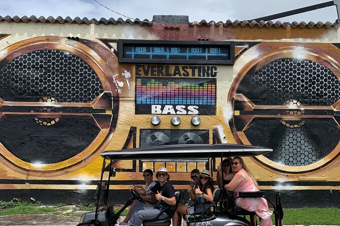 Wynwood Street Art Tour - Artist Lead -VIP Cart - Rolling through the Wynwood Art District