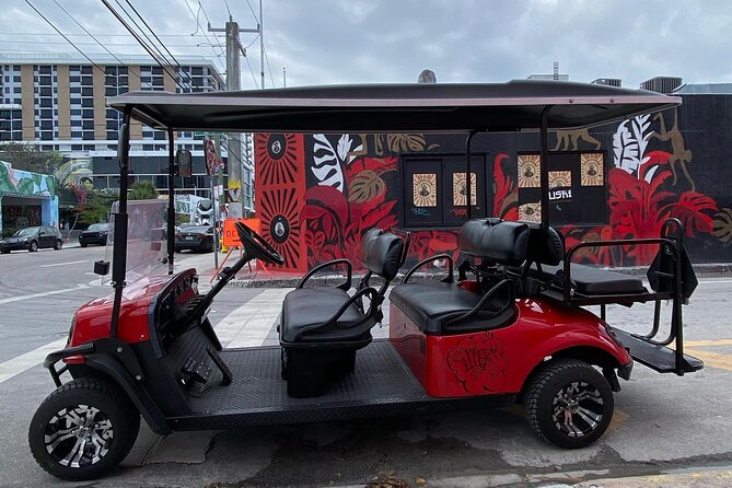 Wynwood Street Art Tour - Artist Lead -VIP Cart - Wynwood Walls and the art beyond it