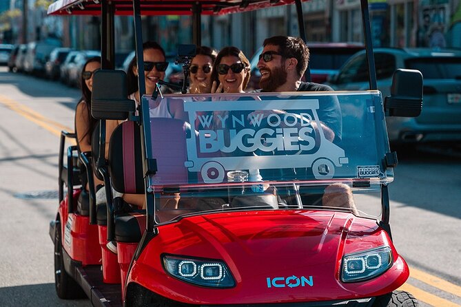 Wynwood Walls Admission and Neighborhood Buggy Experience - Timing, group size, and comfort