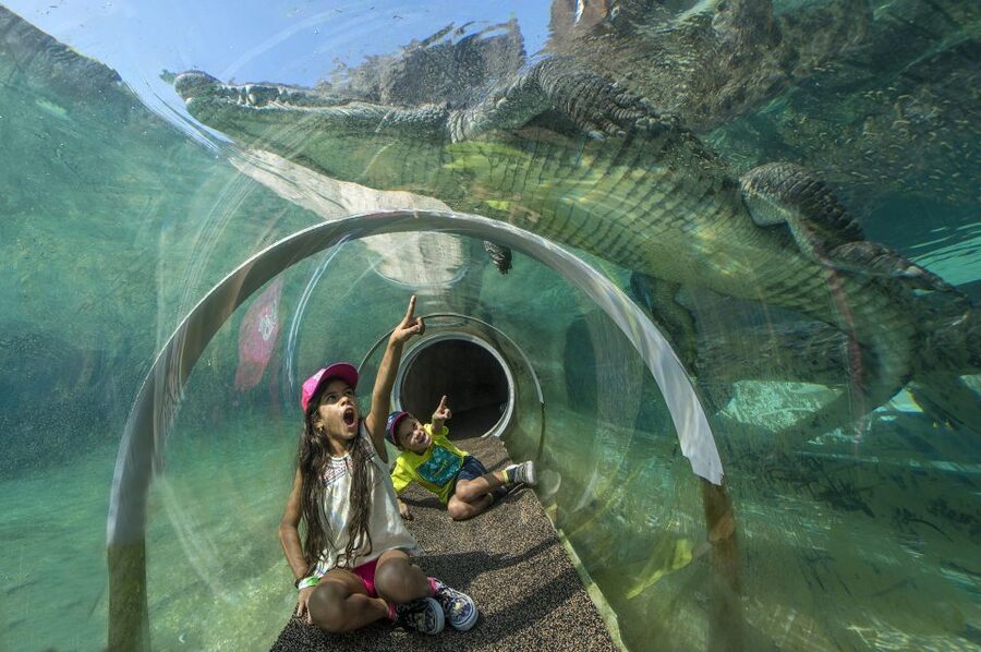 Zoo Miami: General Admission Ticket - Playworld gives children a needed break