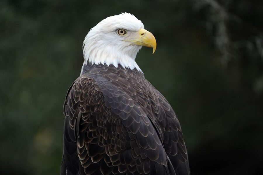 Zoo Miami: General Admission Ticket - A world zoo spread across 340 acres