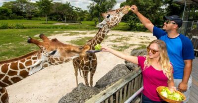 Zoo Miami: General Admission Ticket