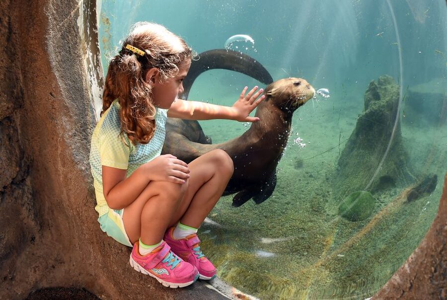 Zoo Miami: General Admission Ticket - Asia and the Wings of Asia Aviary