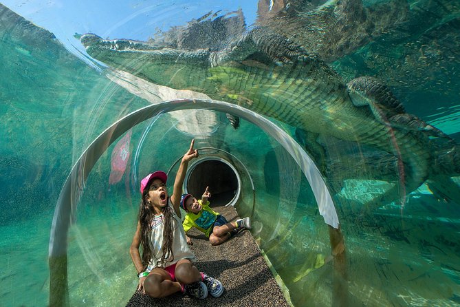 Zoo Miami Ticket with Optional Upgrade - Jaguars, lions, elephants, and open-style enclosures