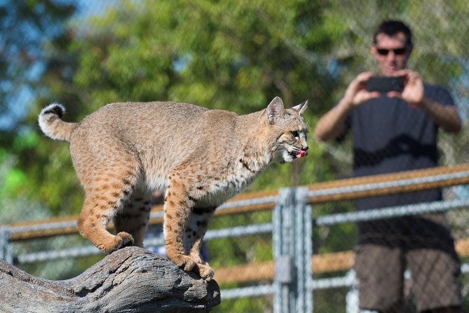 Zoo Miami Ticket with Optional Upgrade - Amazon and Beyond, from anacondas to rare frogs